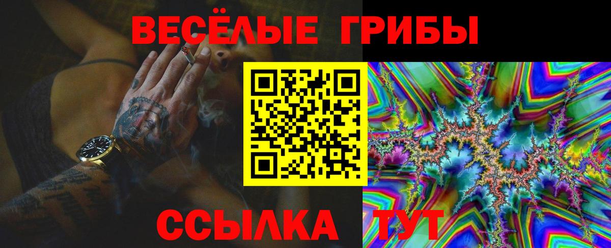 где продают   Вход с VPN  Аксай  Псилоцибиновые грибы MAGIC MUSHROOMS 